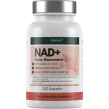 NAD+ Kapseln, hochdosiert 1000mg NAD+ & 600mg Trans-Resveratrol pro Tag, 120 Stück von EXVital