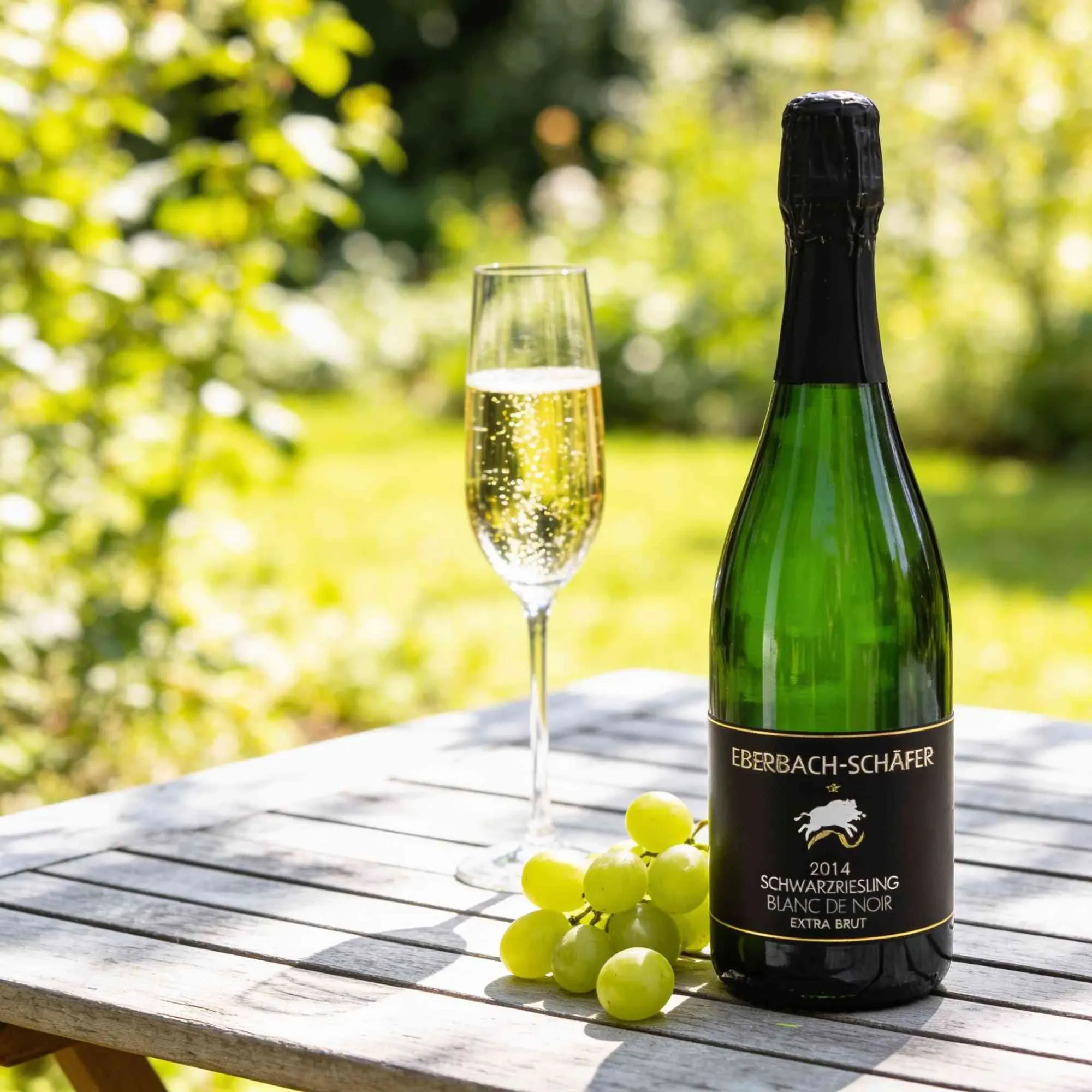 Weingut Eberbach-Schäfer 0 Weingut Eberbach-Schäfer Schwarzriesling Sekt Blanc de Noir Extra Brut Lauffener Riedersbückele Schwarzriesling Deutschland