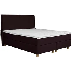Boxspringbett HOME AFFAIRE "Nele", lila, B:181cm L:210cm, Struktur fein (100% Polyester), Samtvelours (100% Polyester), Komplettbetten, Boxspringbett, inkl. Topper im schlichtem Design