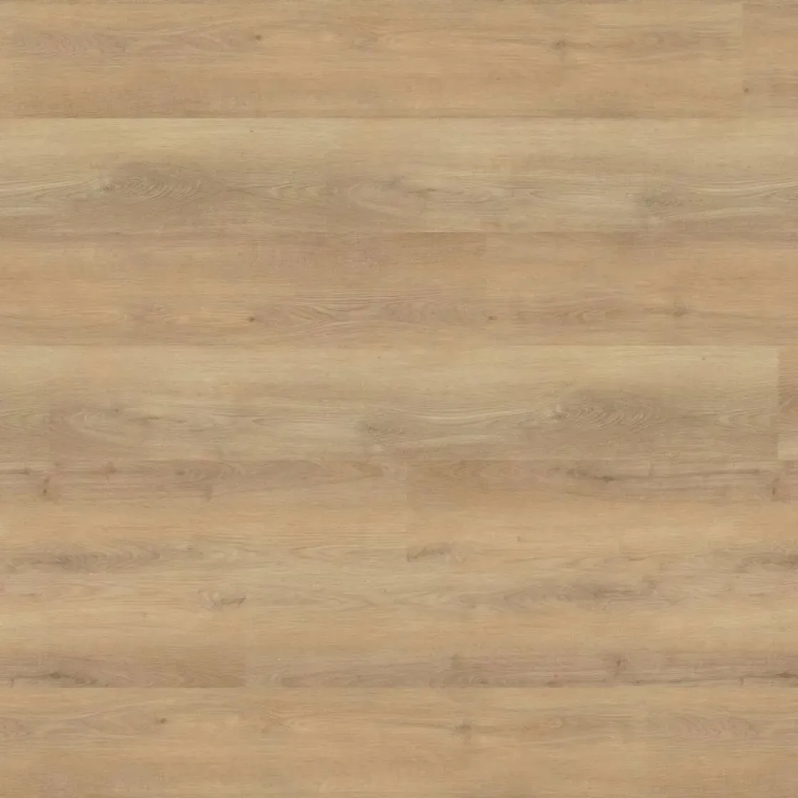 Wineo 800 XL - Dalen Oak Nature DB834WXL | Klebe-Vinylboden