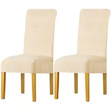 LANSHENG Stuhlhussen 2er Set, Universelle Abnehmbare Waschbar Samt Stuhlhussen, Universale Stretch Esszimmerstühle Stuhlbezug für Küche, Restaurant (Beige, 2er Set)