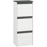 Feldmann-Wohnen Hyga 50 x 125 x 34 cm Pinie weiß / anthrazit matt