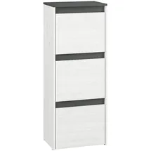 Feldmann-Wohnen Hyga 50 x 125 x 34 cm Pinie weiß / anthrazit matt