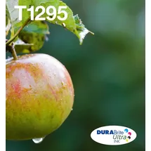 Epson T129 CMYK