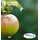 Epson T129 CMYK