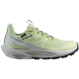 Salomon Elixir Damen Celadon Green/Glacier Gray/Phantom 40