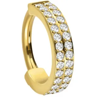 PIERCINGLINE Titan Segmentring Clicker ZWEI EINGEFASSTE KRISTALLREIHEN