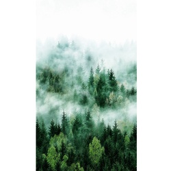 marburg Vliestapete »Smart Art Easy«, Wald, Nebel, grün - gruen