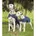 Hunde Regendecke 45 Blau