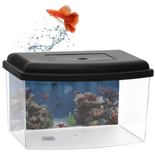 GarPet Mini Aquarium Terrarium Faunarium Zucht Becken klein Fisch Triops Garnelen Acryl Kunststoff Plastik mit Deckel Rückwandfolie
