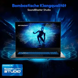 Medion ERAZER Defender P50i, Schwarz, 17,3 Zoll, Full-HD, Intel Core i5 13420H, 16GB, 512GB, RTX 4060