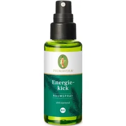 Primavera Raumspray Energiekick
