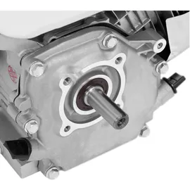 MSW 4-Takt-Motor 9 PS rot