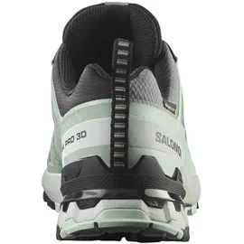 Salomon XA Pro 3D V9 GTX Damen Quiet Shade/Lily Pad/Blue Haze 40 2/3