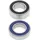 All Balls Racing Radlagersatz Hochgeschwindigkeits Multicolor