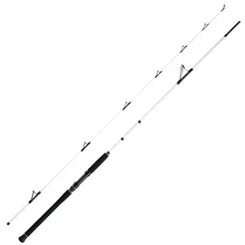 WFT Coastal Jigger 2,75m 40-160g