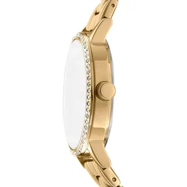 DKNY Soho Logo Gold 36 mm DK1L035M0215