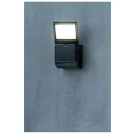 Theben LED-Strahler theLeda S8-100 BK