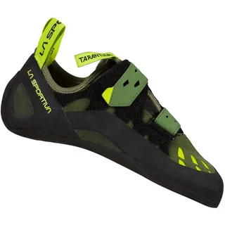 olive/neon 48