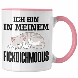 Trendation Tasse Trendation – Ich Bin In Meinem F** Dich Modus Tassen Tasse Becher Kaffeetasse Katzen Lustig Spruch Geschenk Frauen Männer rosa