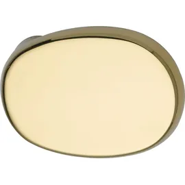 N/H Türknopf gekröpft oval 51 x 81 x 47