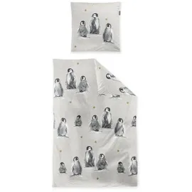 IRISETTE Panda 8645 Tiere Natur 155 x 220 cm + 80 x 80 cm