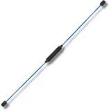 Best Sporting Swing Stick Schwingstab mit Trainigsanleitung (1 Swing Stick blau)