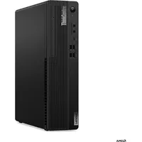 Lenovo ThinkCentre M75s AMD Ryzen 5 8600g (AMD Ryzen