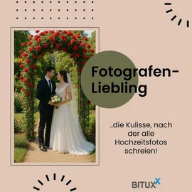 BITUXX Rosenbogen 240 x 0 x 0 cm Schwarz