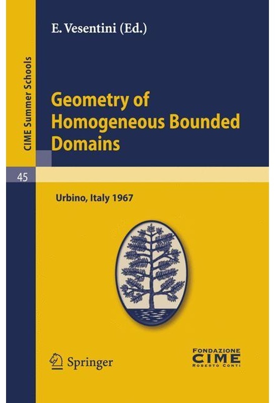 Geometry Of Homogeneous Bounded Domains, Kartoniert (TB)