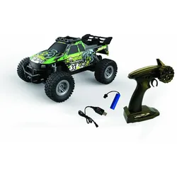 Mountain Race