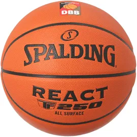 Spalding DBB React TF-250 Composite Indoor/Outdoor 5
