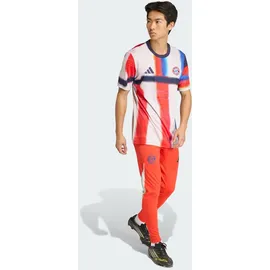adidas FC Bayern SS26 Pre-Match Trikot - Noble Ink / Hi-Res Blue / Chalk Pearl - XL