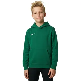 Nike Park 20 Fleece Hoodie Kinder pine green/white S 128-137 cm