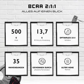 Vit4ever GEN BCAA 2:1:1 Pulver 500 g