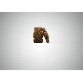 Josera Kids 12,5 kg