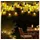 Nowa Lichterkette LED 200 cm Metall Rost 20x warmweiß