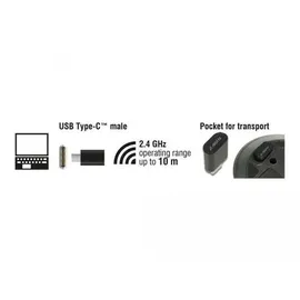 DeLock Optische 3-Tasten Wireless Mini Maus USB Type-C 2,4 GHz (12526)