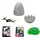 Boti Europe Jurassic Captivz Rebirth - 12Pcs Pdq - 3 Egg Row