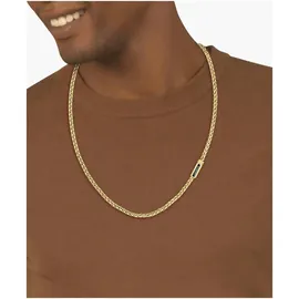 Lacoste SPELT Gelb/Goldfarben/Grün Edelstahl