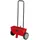 Einhell Streuwagen GC-SR 12