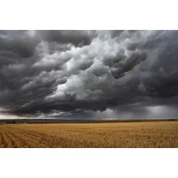 Fototapete PAPERMOON "Feld mit Gewitter", bunt, B:3,00m L:2,23m, Vlies, Tapeten