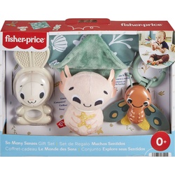 Fisher-Price® Greifspielzeug Geschenkset: Sensorische Erlebnisse (Set, 4-tlg), mit 4 sensorischen Spielzeugen bunt