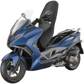 Alpha Motors Sport Cruiser 22 125 ccm 11,0 PS 95 km/h blau