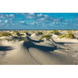Fototapete PAPERMOON "DÜNEN-NATUR NORD SEE SAND STRAND MEER WÜSTE LANDSCHAFT", bunt, B:4,50m L:2,80m, Vlies, Tapeten