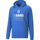 Puma FtblCore Herren Sweatshirt 767126-03-M