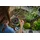 Gardena smart Pipeline Bewässerungscomputer