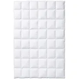 Kauffmann Eiderdaunendecke warm - 155x220cm