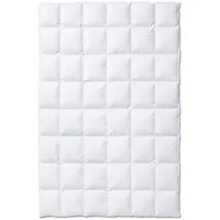 Kauffmann Exclusive warm - 155x220cm