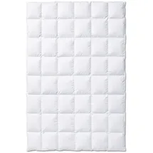 Kauffmann Exclusive warm - 155x220cm